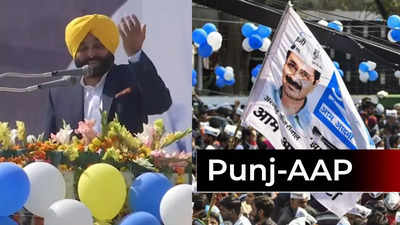 Bhagwant Mann set to lead AAP government in Punjab as party wins landslide