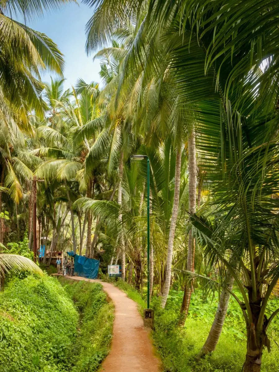 Kovalam, a little bit of heaven in Kerala | Times of India