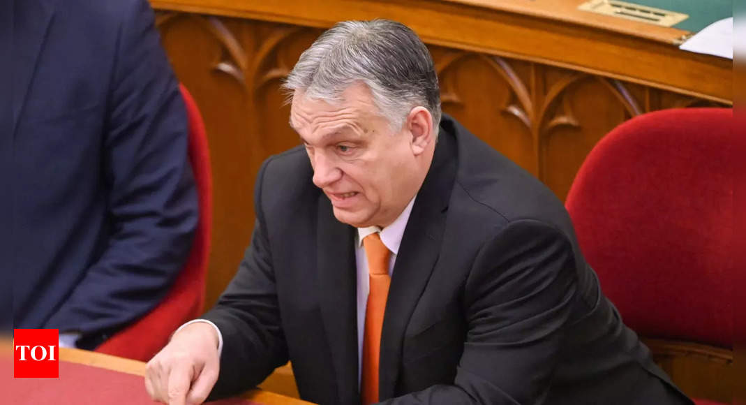 Hungary PM Viktor Orban says EU will not sanction Russian gas or oil – Times of India