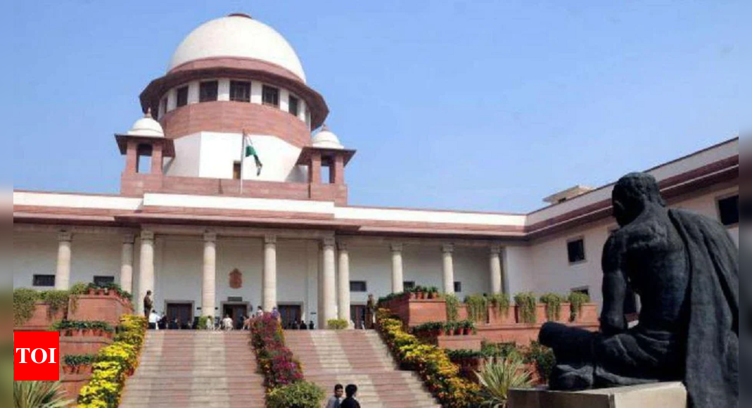Court deciding bail plea can’t completely divorce its decision from material aspects of case: SC | India News – Times of India