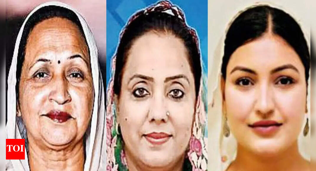 Of 13 Women Entering State Assembly, 11 Have Aap Ticket | Amritsar News ...