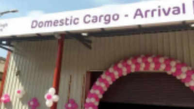 Lucknow airport gets new facility for inbound cargo