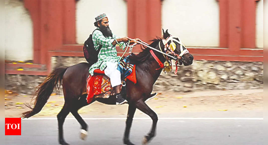 Meet the man who rides a horse to work | India News – Times of India