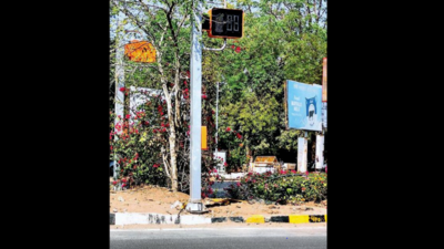 Gujarat: In a first, Gandhinagar pushes button for pedestrian safety