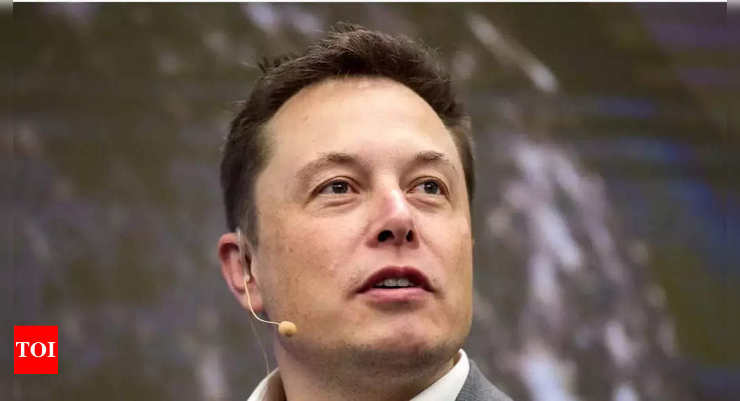 Musk says Tesla, SpaceX facing significant inflation risks – Times of India