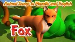 Watch New Children Marathi Nursery Song 'Fox Song' for Kids - Check out Fun Kids Nursery Rhymes And Baby Songs In Marathi