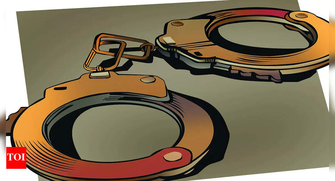 Mohit-Vishal murder case: Two shooters of Kala Rana, Kala Jatheri gangs ...
