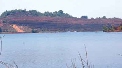 Goa: Mining damage, govt apathy push Pissurlem farmers to edge