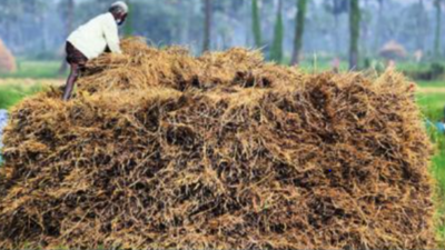 Andhra Pradesh: No delay in payments for paddy, clarifies minister