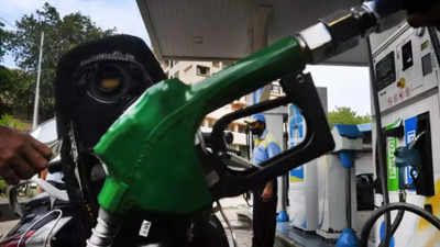 Govt to make calibrated interventions to keep fuel prices under control: MoS finance