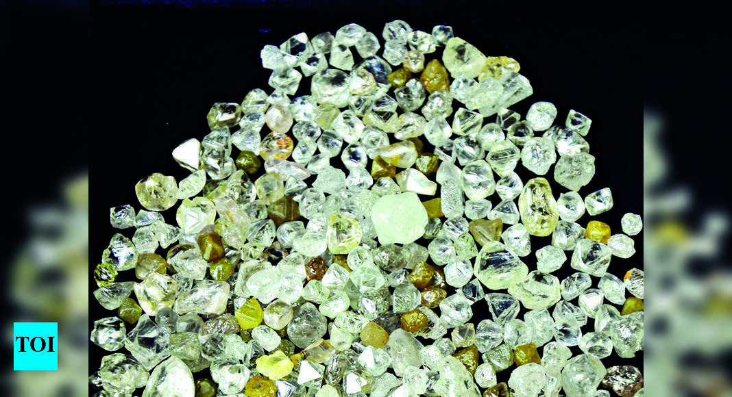 Sdb: Diamond Bourse Lifts Sda Membership, More Than 4k Register | Surat ...