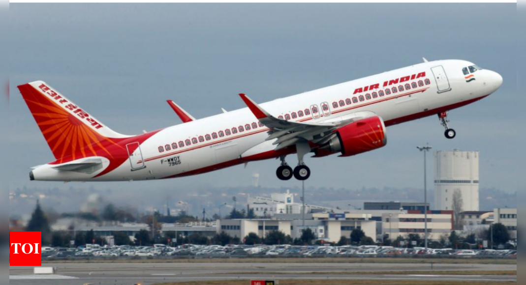 Privatised Air India sees 1st labour stir as govt co workers agitate – Times of India