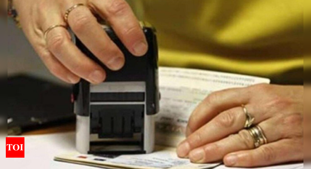 Govt restores valid e-visa to 156 countries; regular visas to all; 10 years visa to US, Japan nationals – Times of India