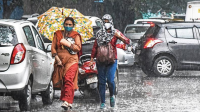Weather scientists forecast normal monsoon this year