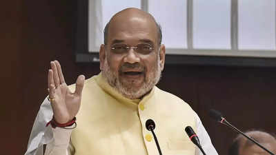 Attention not paid to land port development after Independence: Amit Shah