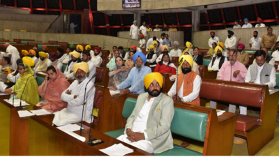 Woman and eight first-time MLAs to join Punjab cabinet
