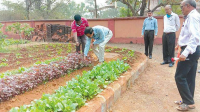 Goa University’s green initiative boosts growth of local vegetable