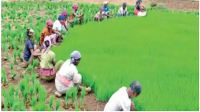Tamil Nadu agriculture budget: TN takes digital route to help farmers get better income