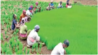 Tamil Nadu Agriculture Budget: TN Takes Digital Route To Help Farmers ...