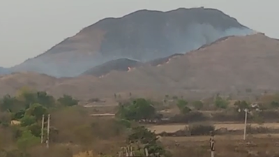 Gujarat: Wildfire breaks out near sanctuary for lions in Amreli; hundreds battle blaze, no casualties