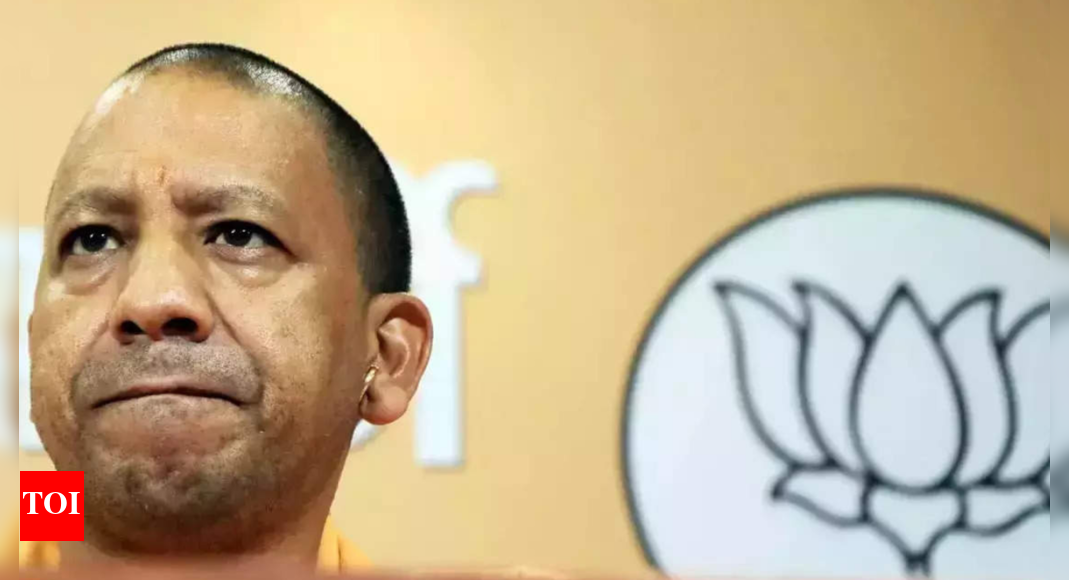 ‘yogi Govt To Make All Up Villages Digital’ | Lucknow News - Times of India