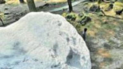 Himachal Pradesh: Film unit defaces ancient rocks in Manali sanctuary