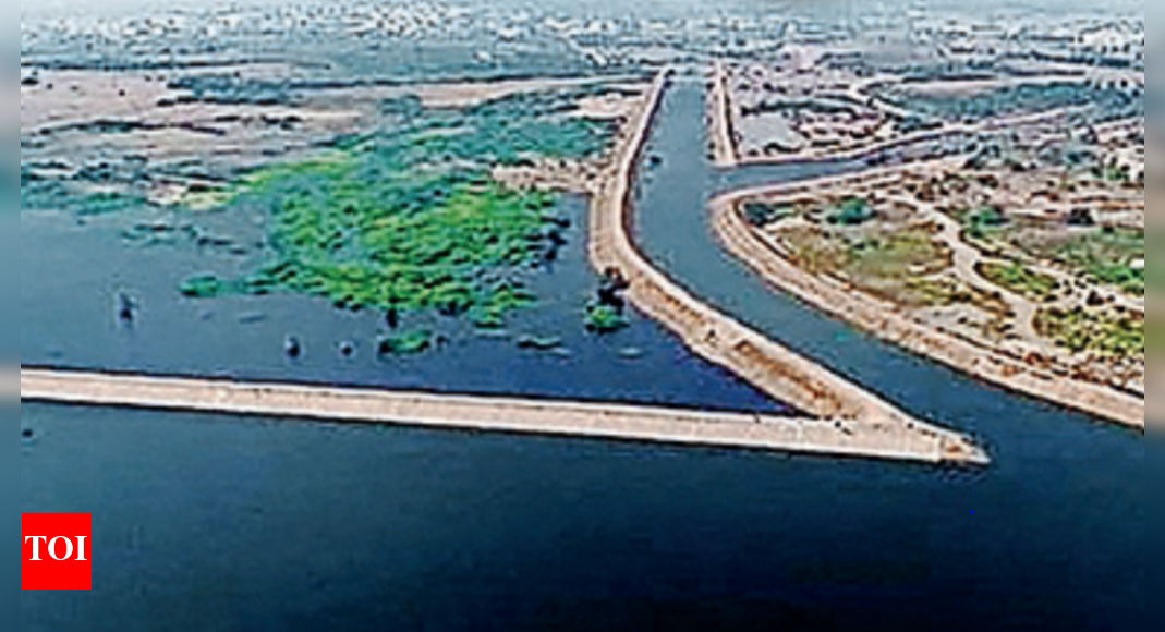 Andhra Pradesh govt all set to revive microirrigation scheme to