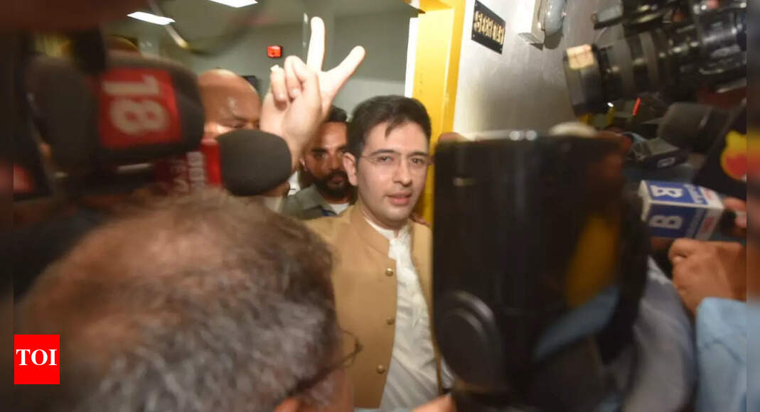 Harbhajan, Raghav Chadha nominated by AAP to RS