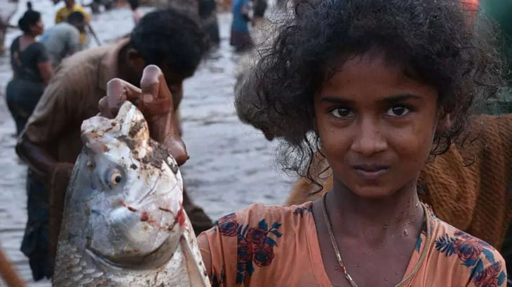 Tamil Nadu: Villagers participate in fishing festival in Madurai village |  The Times of India