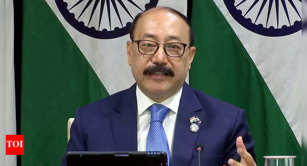 ‘Our record speaks for itself’: MEA on Pakistan PM Imran Khan praising India’s foreign policy | India News – Times of India