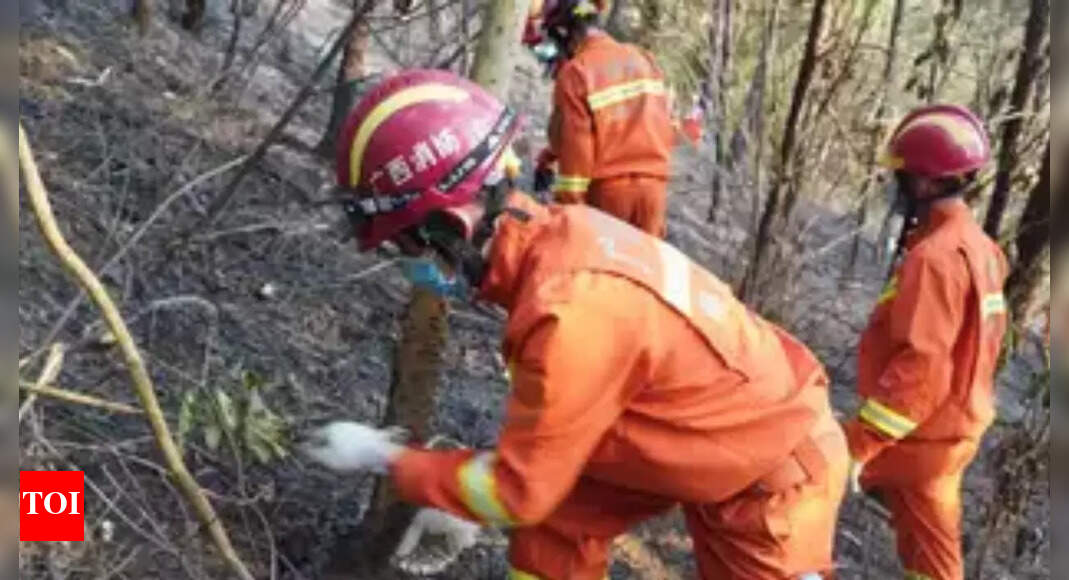 China airliner plunges into mountain with 132 on board