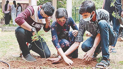 Kerala: Students plant sandalwood tree saplings