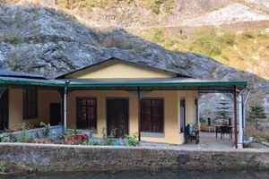 A special hotel for your dogs near Mussoorie