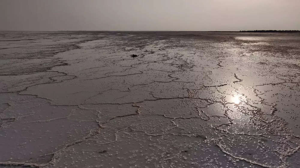 In pics: These Kutch sites resemble Mars surface