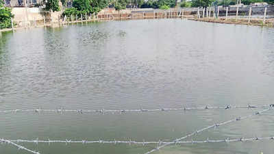 119 waterbodies in Delhi’s villages being developed as ‘model ponds’