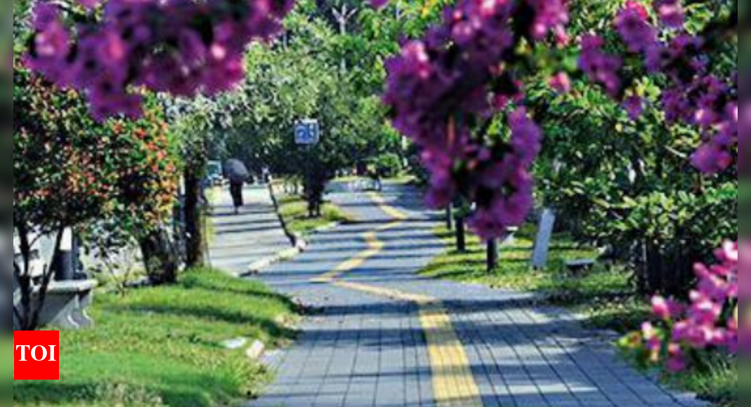 Kochi Panampilly Nagar Shows The Way Kochi News Times of India