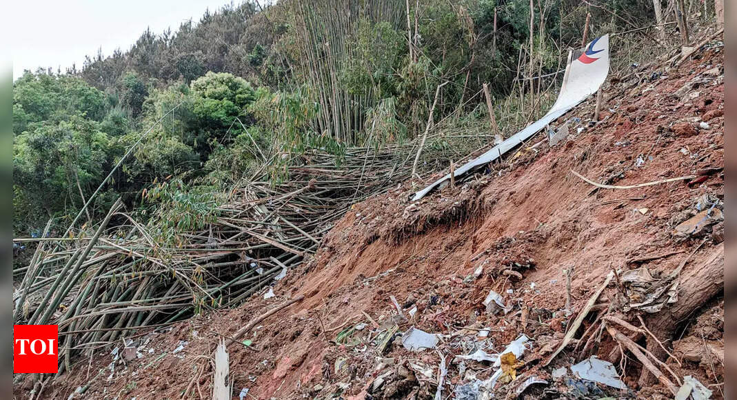 Chinese jet nearly hit speed of sound in final moments