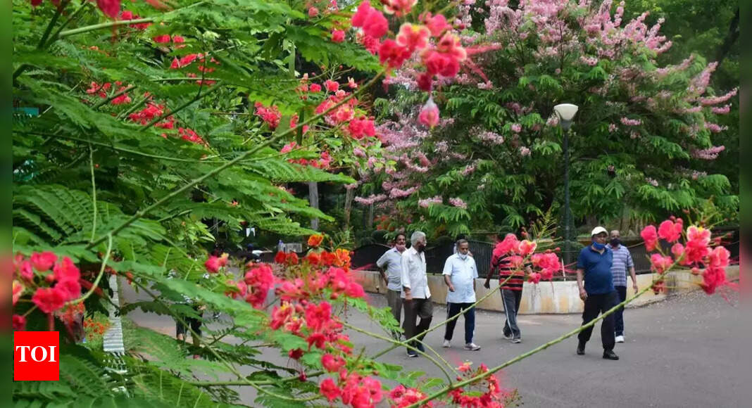 These are the 35 least polluted cities/towns in India