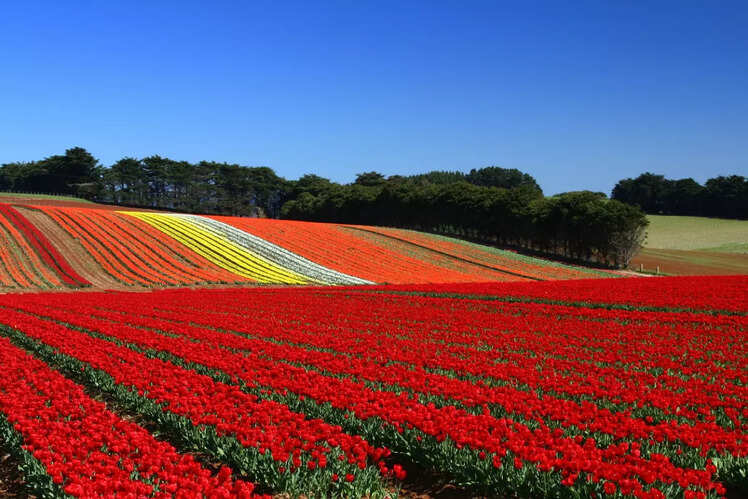 Corbett Gardens, Australia