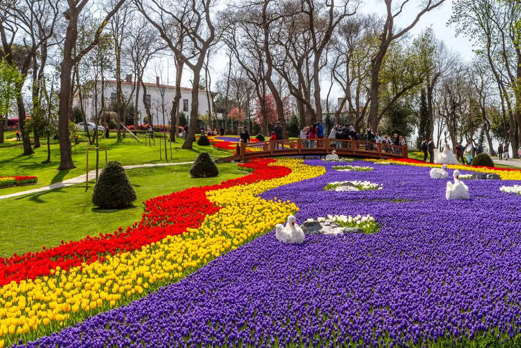 A Look At The World’s Most Exotic Tulip Gardens 