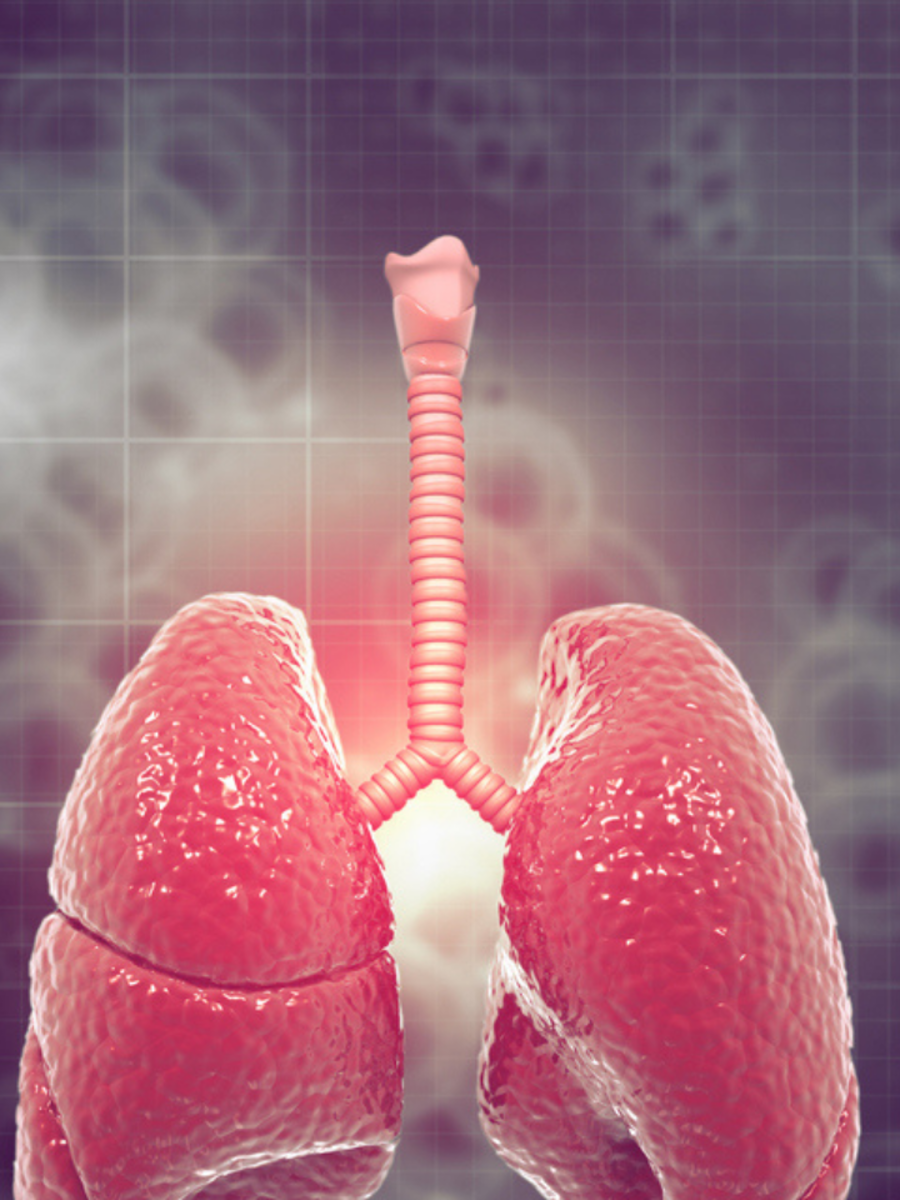 Tuberculosis: What makes you prone to TB infection | Times of India