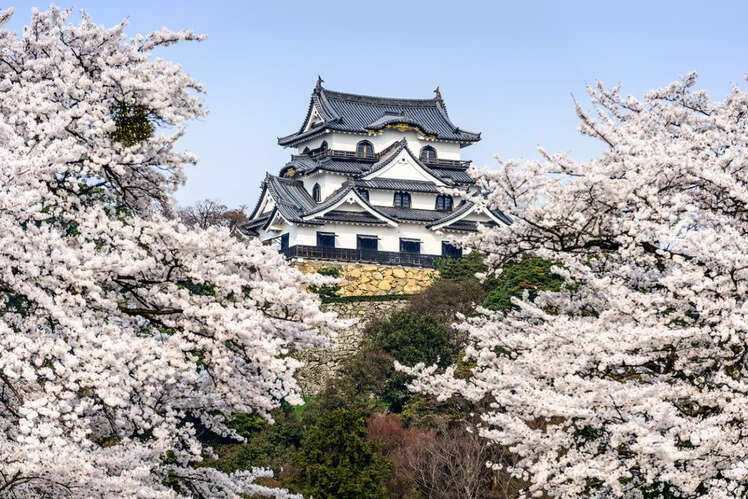 Hikone Castle, Shiga Prefecture