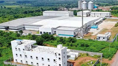 Farmers in Andhra Pradesh to make big gains from food processing centre ...