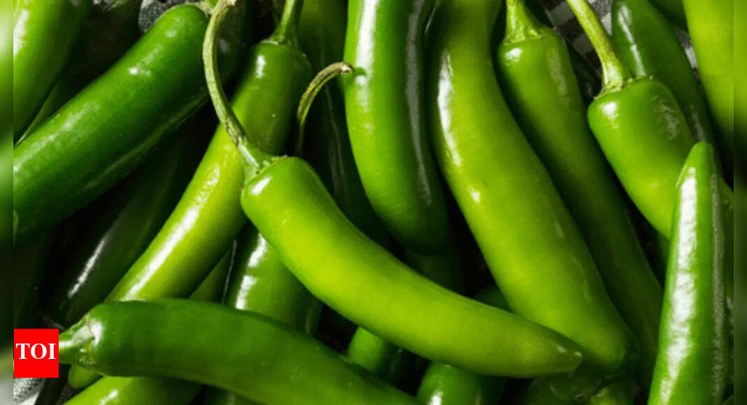 Green Chilli Gets Fiery Hot As Prices Touch 180 Per Kg Navi Mumbai