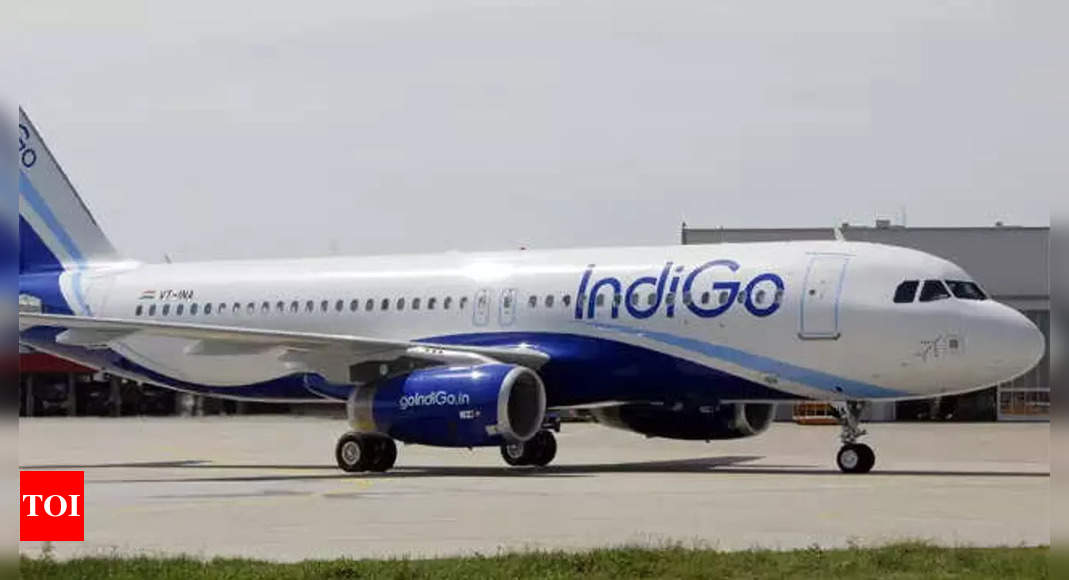 IndiGo international network: 505 weekly flights on over 150 routes in a gradual ramp-up this summer – Times of India