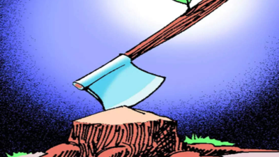 Haryana: Shamli-Ambala corridor to see felling of 60,000 trees