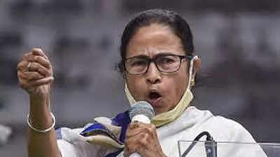 Will cooperate with CBI, but protest if probe biased: Didi