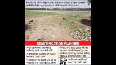 Sonegaon Lake drained, but no desilting, conservation
