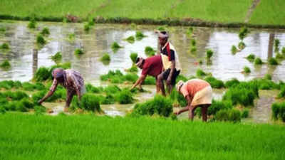 Amaravati farmers in no mood to register for returnable plots