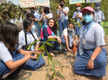 
Students to create on campus forest in Kolkata school

